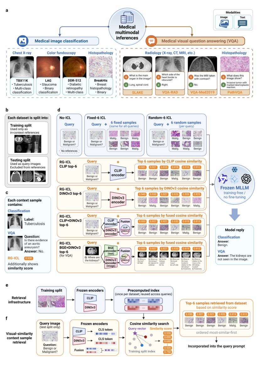 RG-ICL study schematic showing medical imaging datasets, inference paradigms, frozen encoders, and representation-guided reference retrieval.